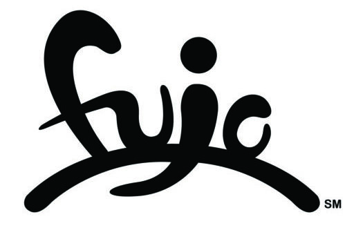 Fujo Consulting - data driven digital marketing and e-commerce.